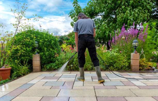 Best Animal Enclosure Cleaning  in Ashburn, GA